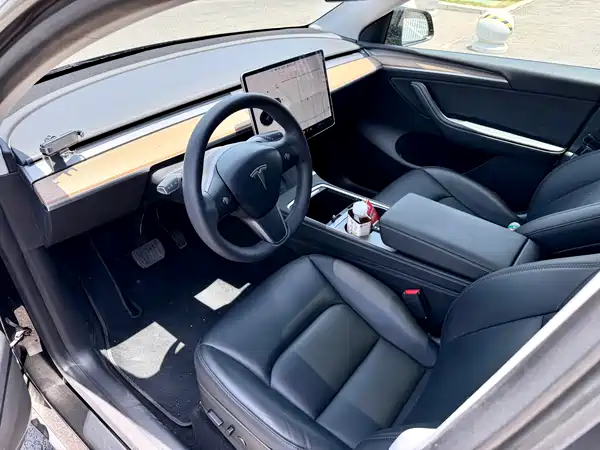 Tesla Model Y 2021