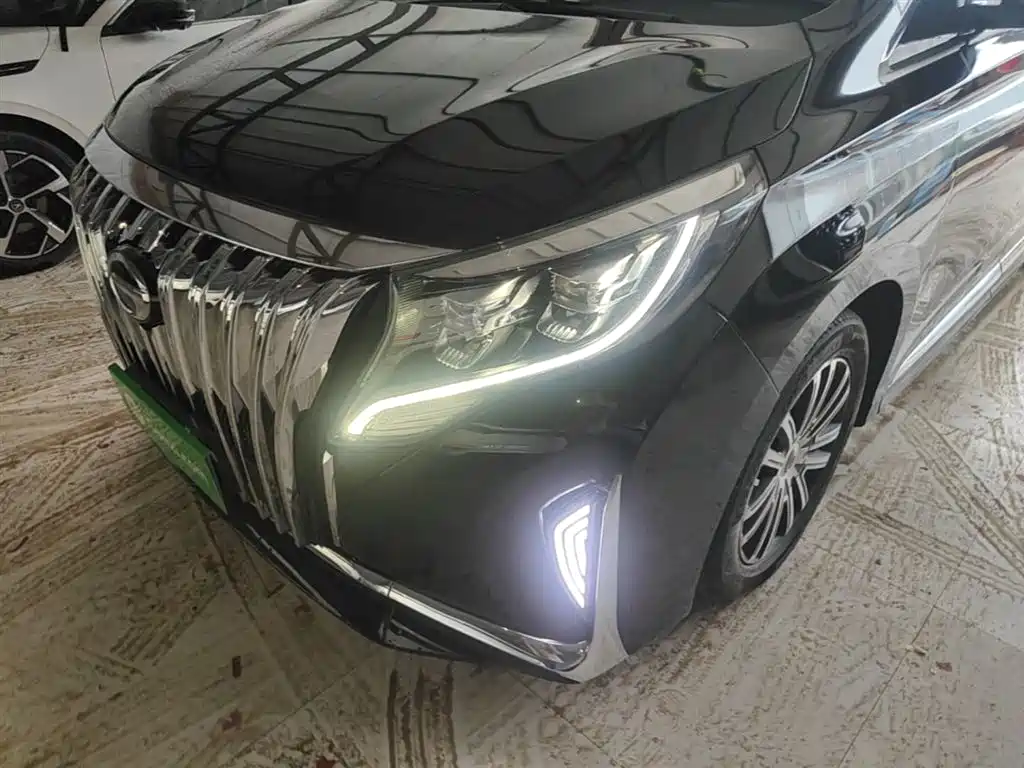 GAC Motor Trumpchi M8 2023 — фото 24
