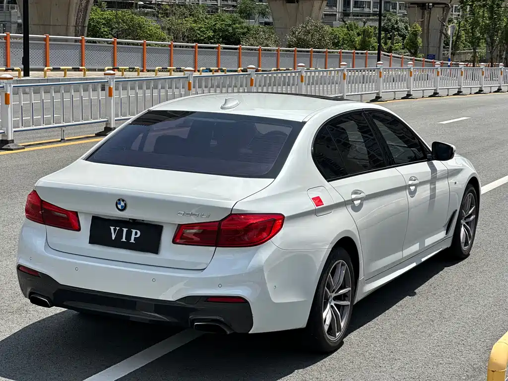BMW 5 Series 2019 — фото 14