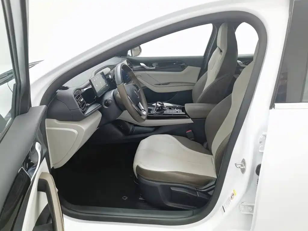 BYD Qin PLUS 2023 — фото 10