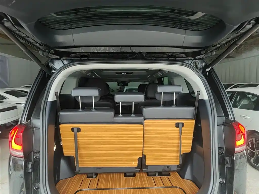 GAC Motor Trumpchi M8 2023 — фото 19
