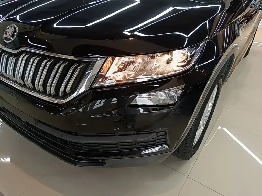 Skoda Kodiaq 2019 — фото 24