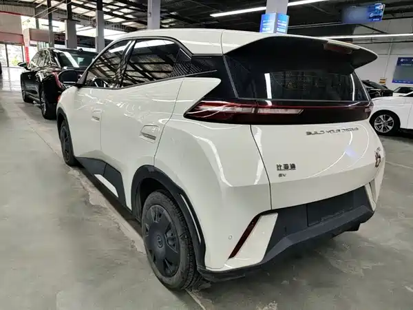 BYD Seagull 2024
