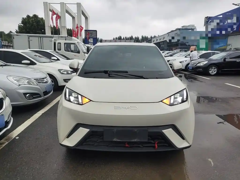 BYD Seagull 2024