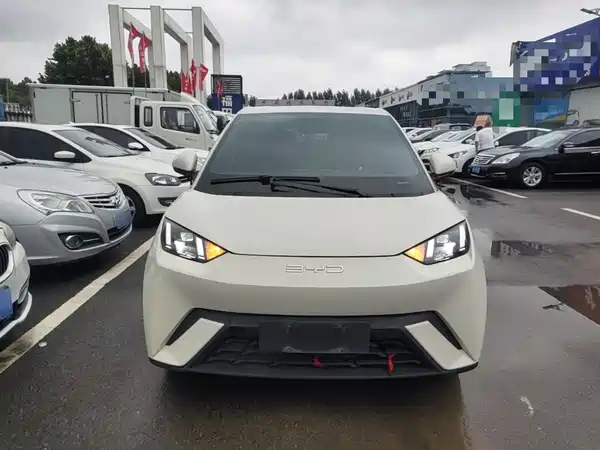 BYD Seagull 2024