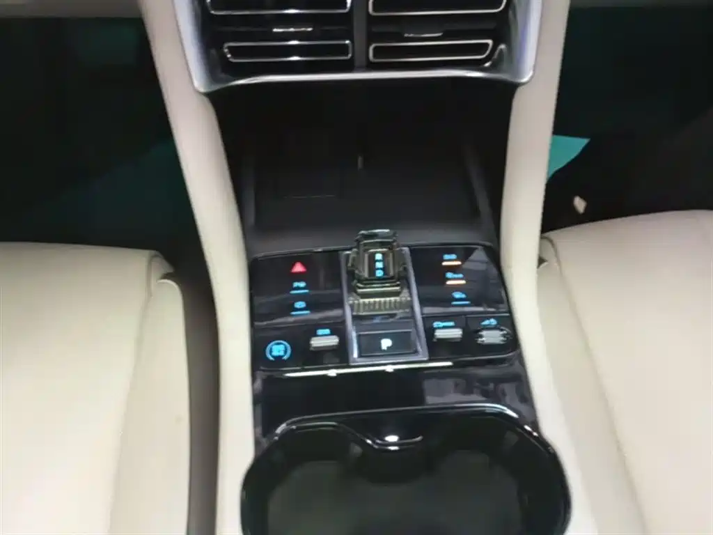 BYD PLUS New Energy 2025 — фото 14