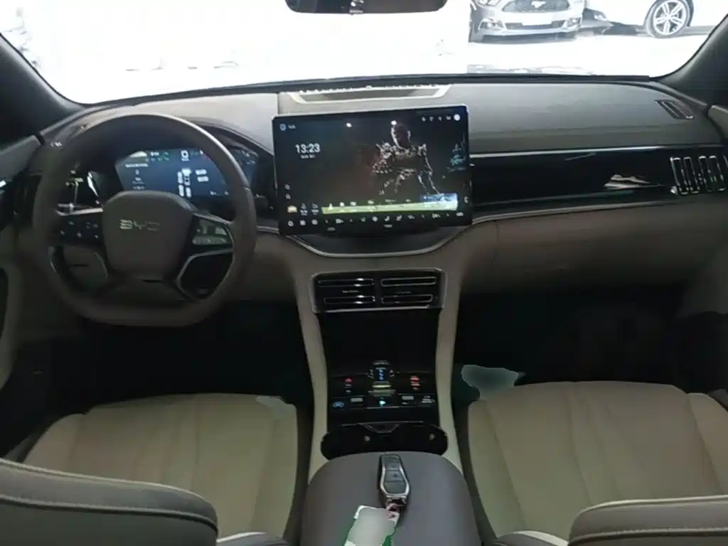 BYD PLUS New Energy 2025 — фото 10