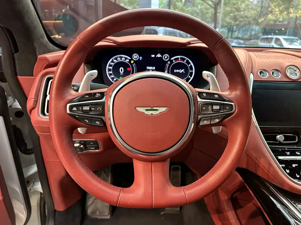 Aston Martin DBX 2022 — фото 13