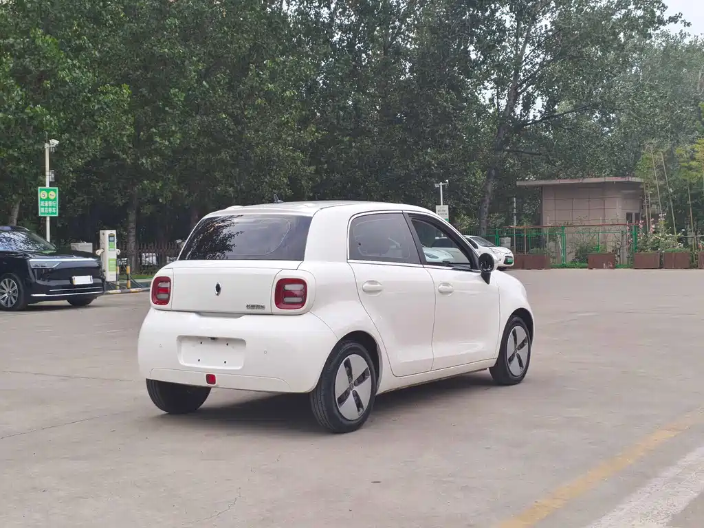 Ora Black Cat 2021 — фото 13
