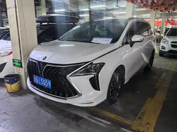 Dongfeng Forthing Yacht 2023