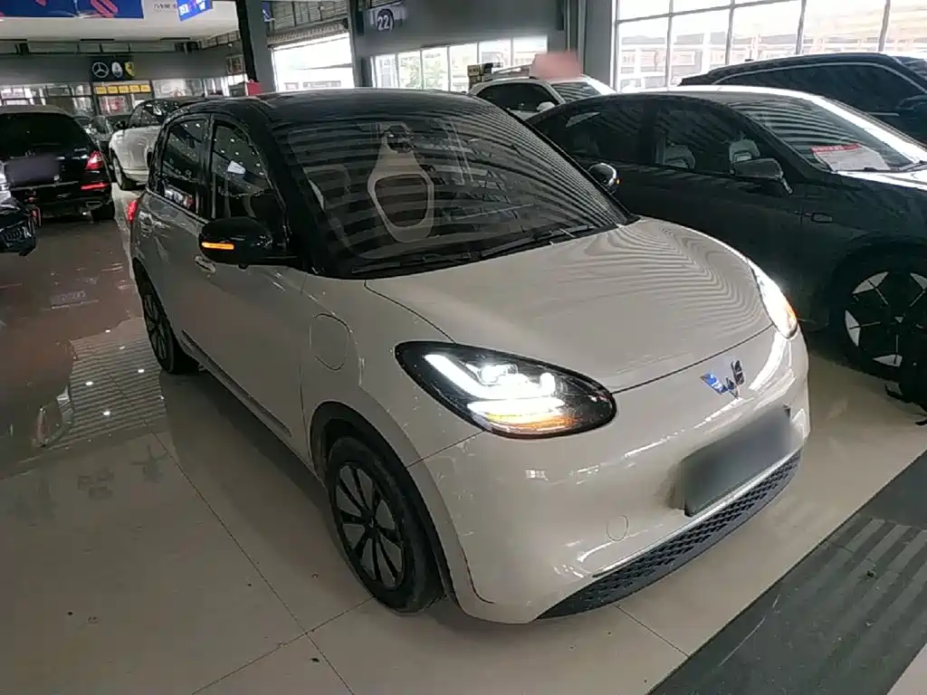 Wuling Bingo 2024