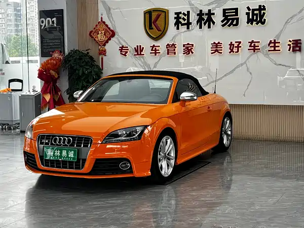 Audi TTS 2010