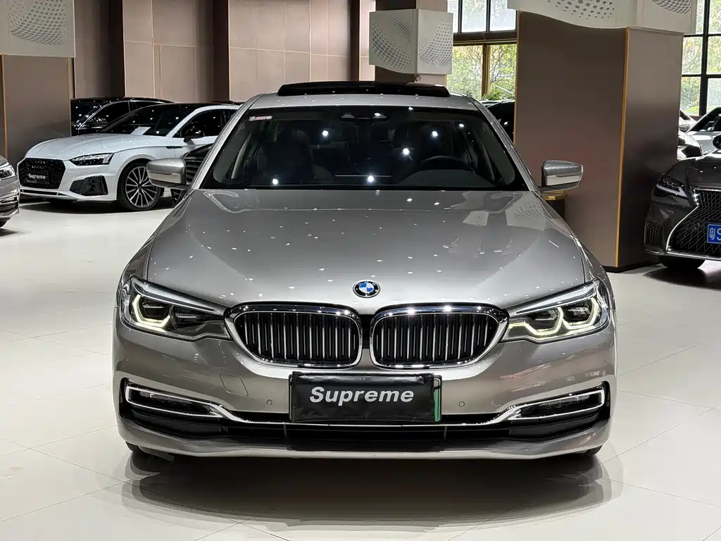 BMW 5 Series New Energy 2018