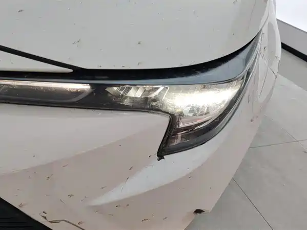 Toyota Levin 2024