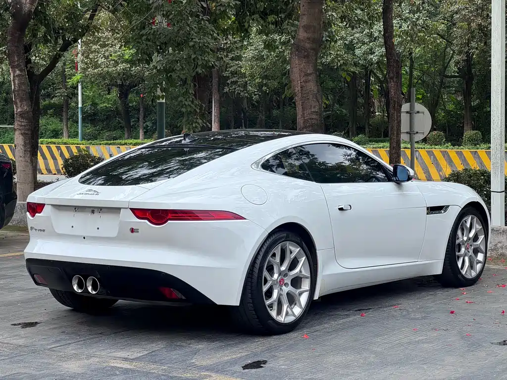 Jaguar F-TYPE 2016 — фото 10