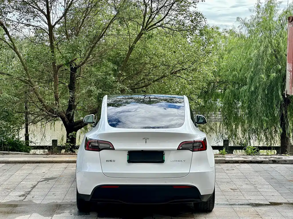 Tesla Model Y 2023 — фото 3