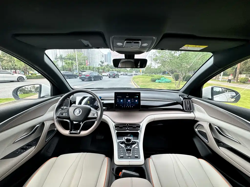 BYD Pro New Energy 2024 — фото 13