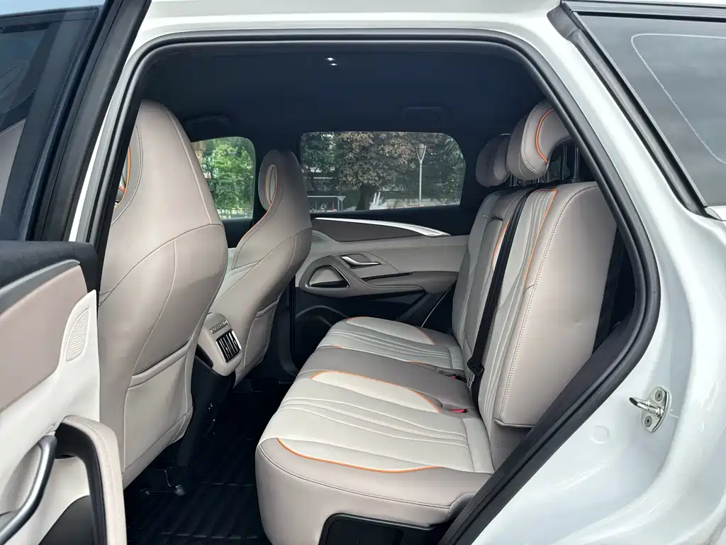BYD Pro New Energy 2024 — фото 12