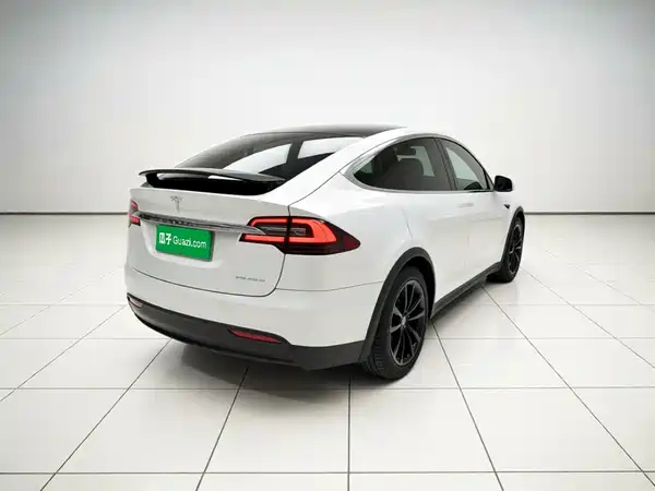Tesla Model X 2020