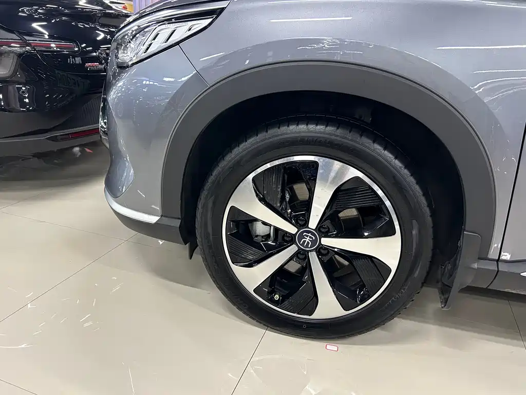 BYD PLUS New Energy 2023 — фото 22