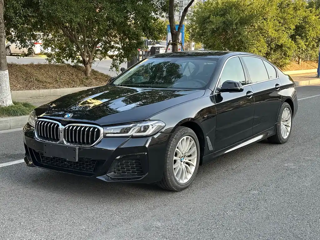 BMW 5 Series 2015 — фото 1