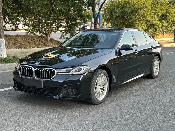 BMW 5 Series 2014
