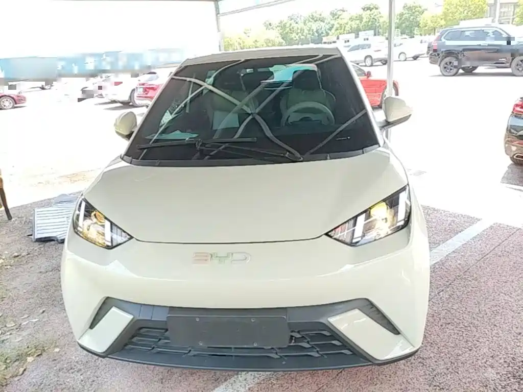 BYD Seagull 2024