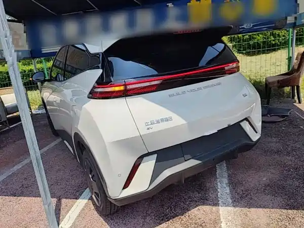 BYD Seagull 2024