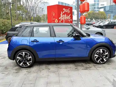 MINI MINI 2025