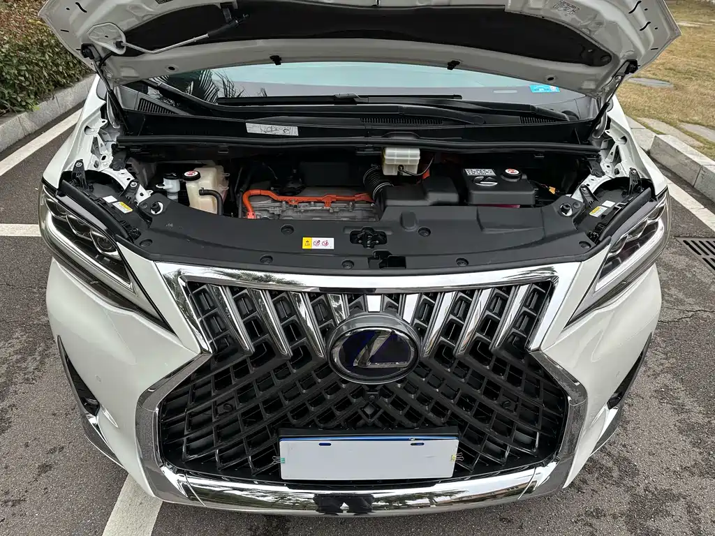 Lexus LM 2020 — фото 15