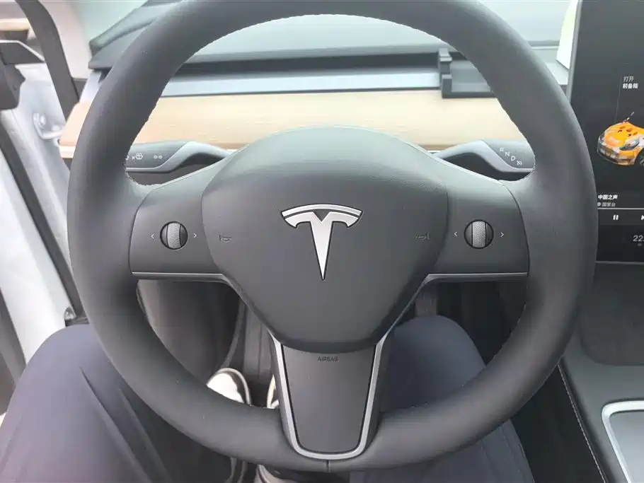 Tesla Model Y 2021 — фото 15