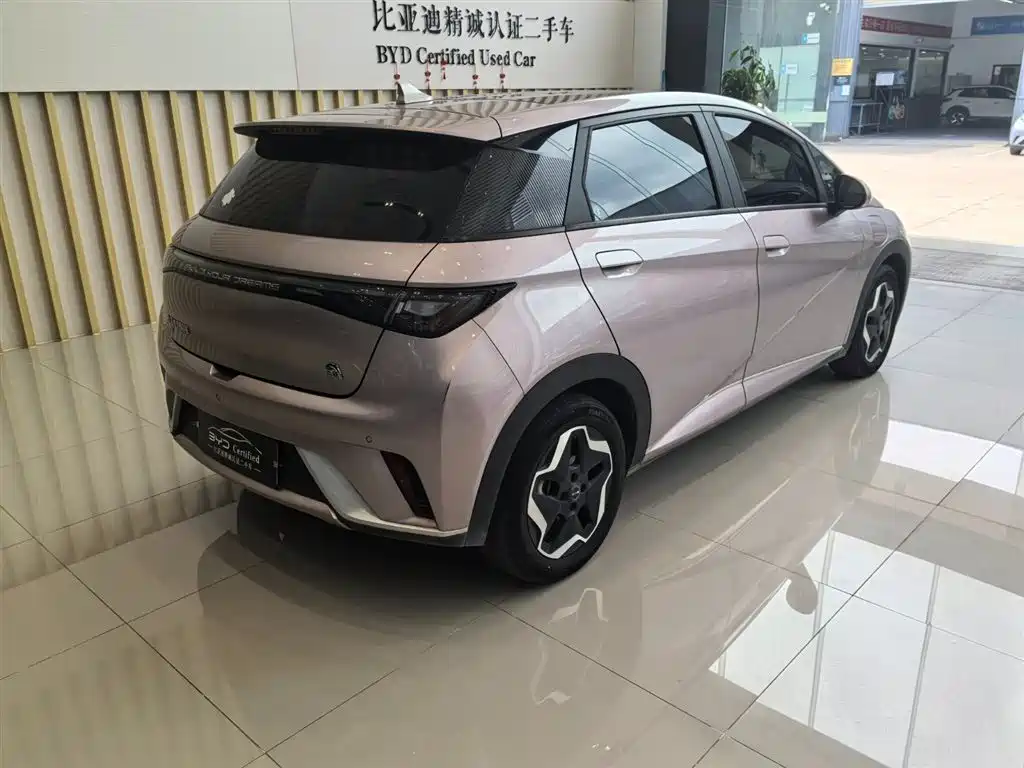 BYD Dolphin 2022 — фото 10
