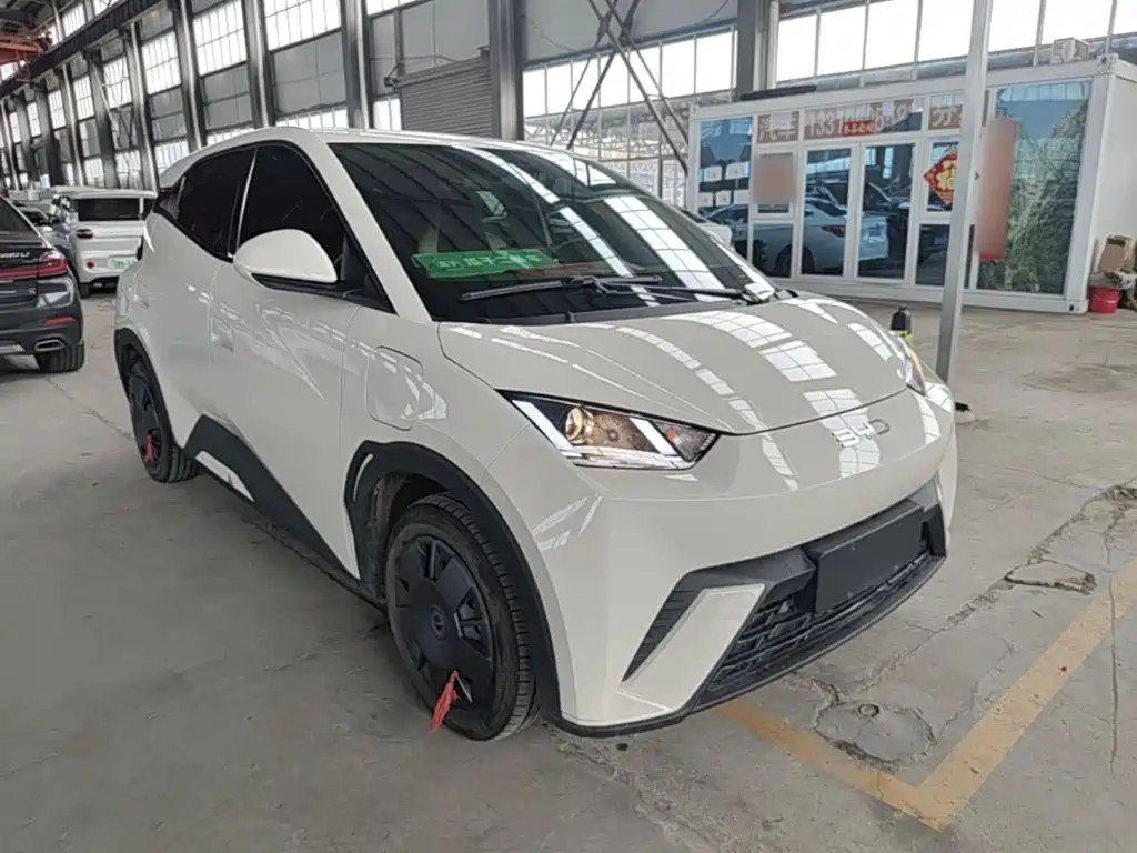 BYD Seagull 2025