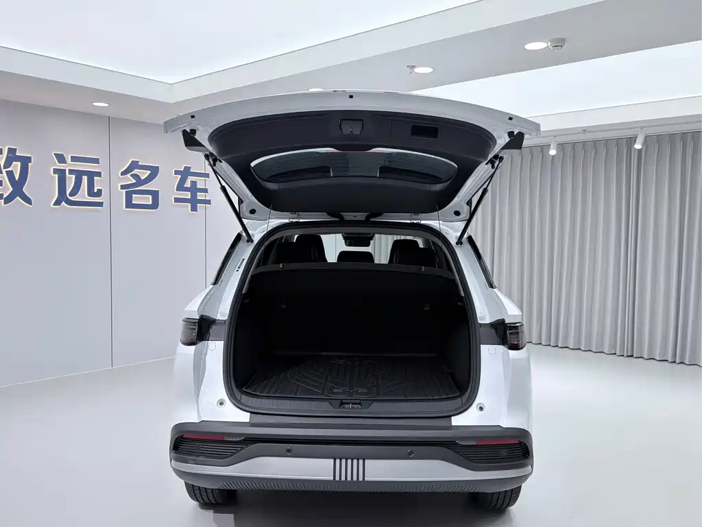 BYD Sealion 05 DM-i 2025 — фото 14