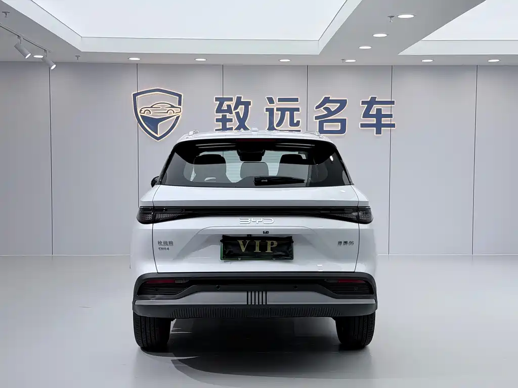 BYD Sealion 05 DM-i 2025 — фото 5