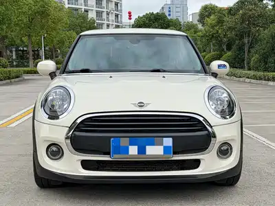 MINI MINI 2020