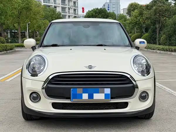 MINI MINI 2020