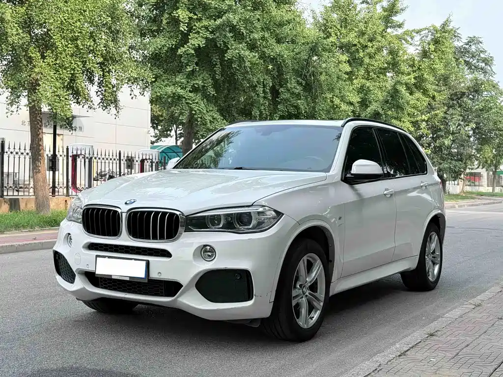 BMW X5 2014