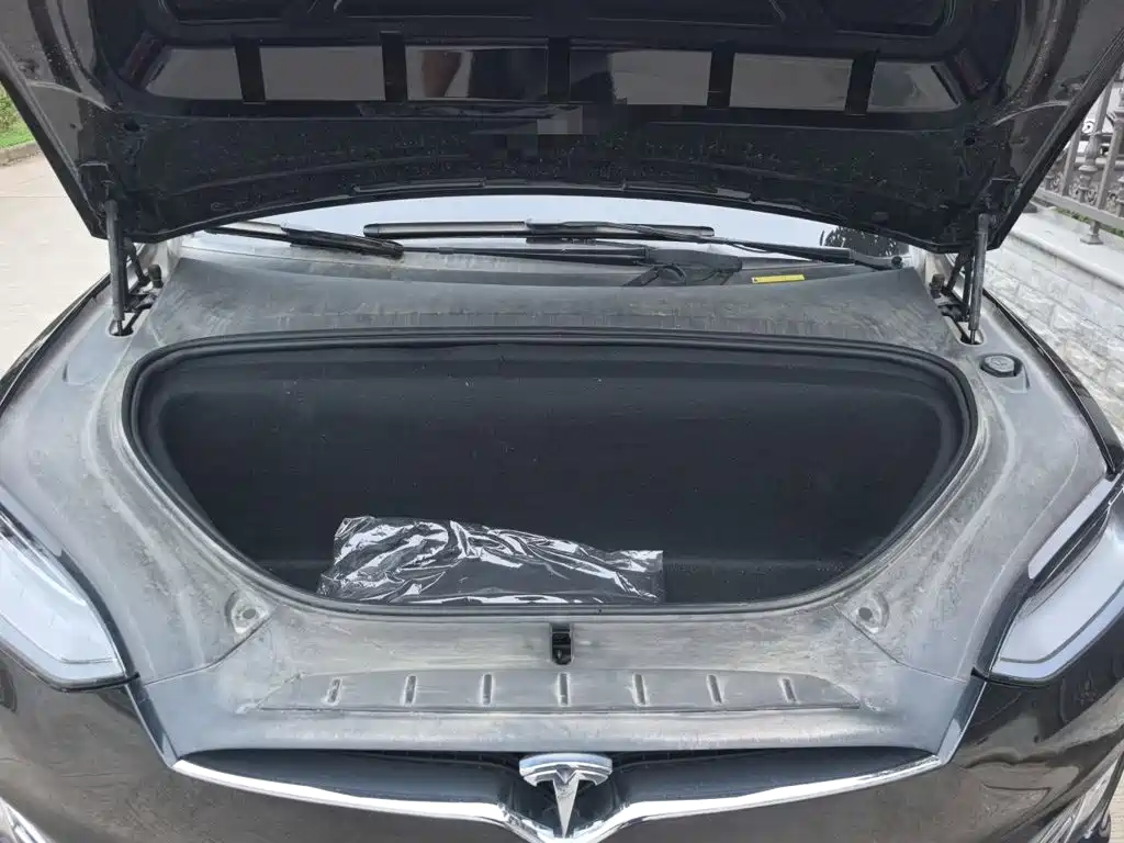 Tesla Model X 2020 — фото 16