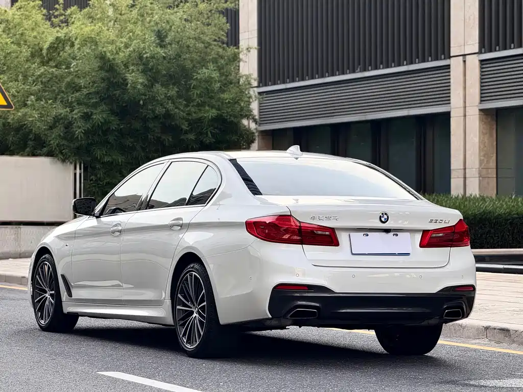 BMW 5 Series 2019