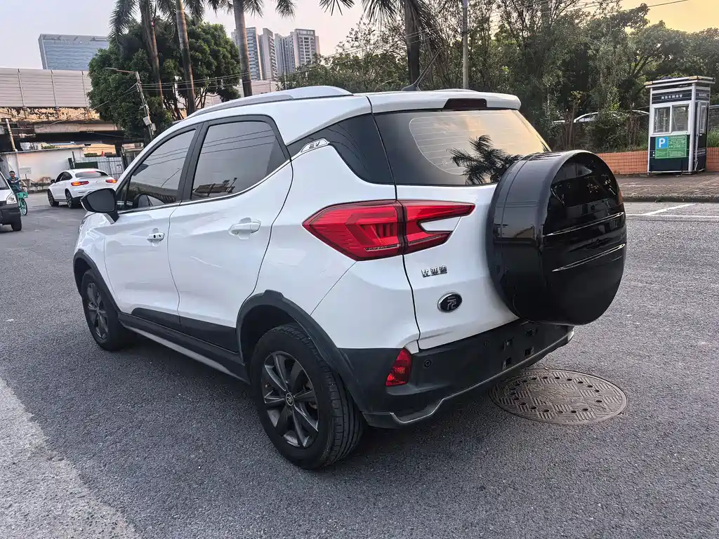 BYD Yuan New Energy 2020