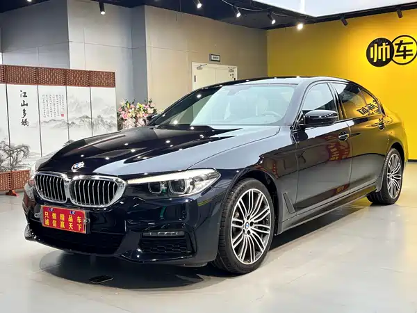 BMW 5 Series 2019