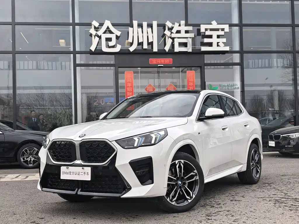 BMW X2 2025 — фото 1