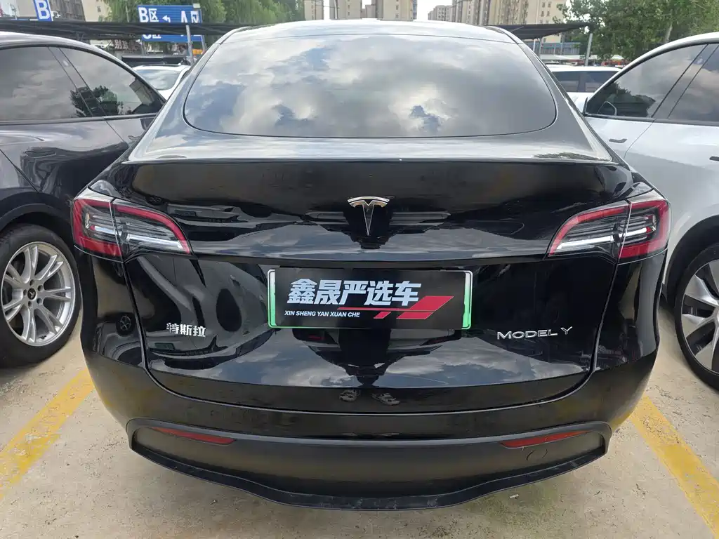 Tesla Model Y 2023 — фото 14
