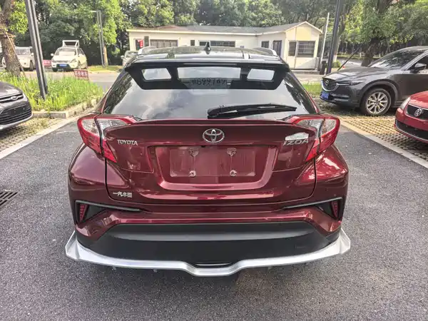 Toyota IZOA 2019