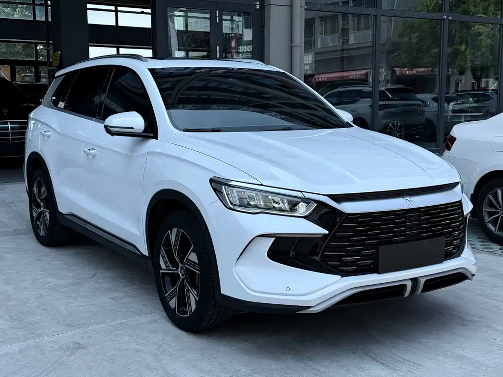 BYD Pro New Energy 2024 — фото 3