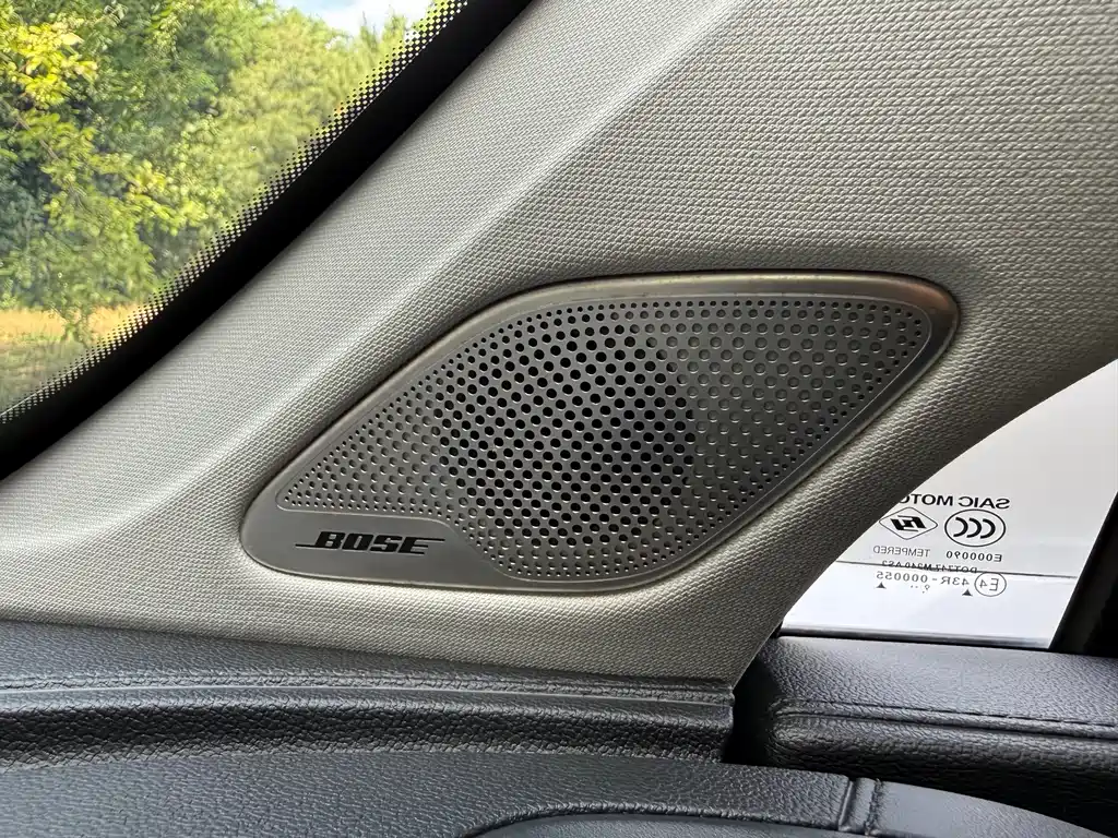 Roewe RX5 MAX 2020 — фото 18