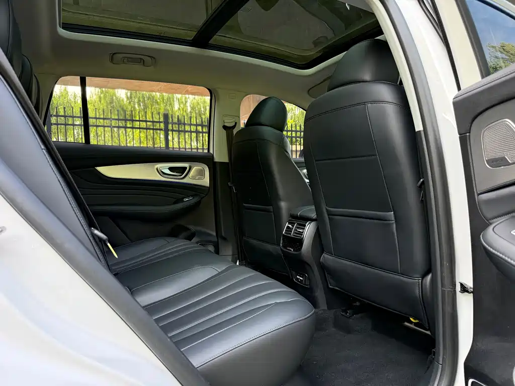 Roewe RX5 MAX 2020 — фото 10
