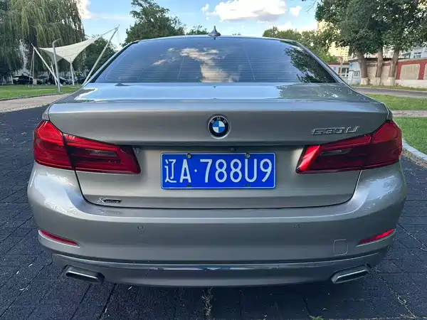 BMW 5 Series 2019