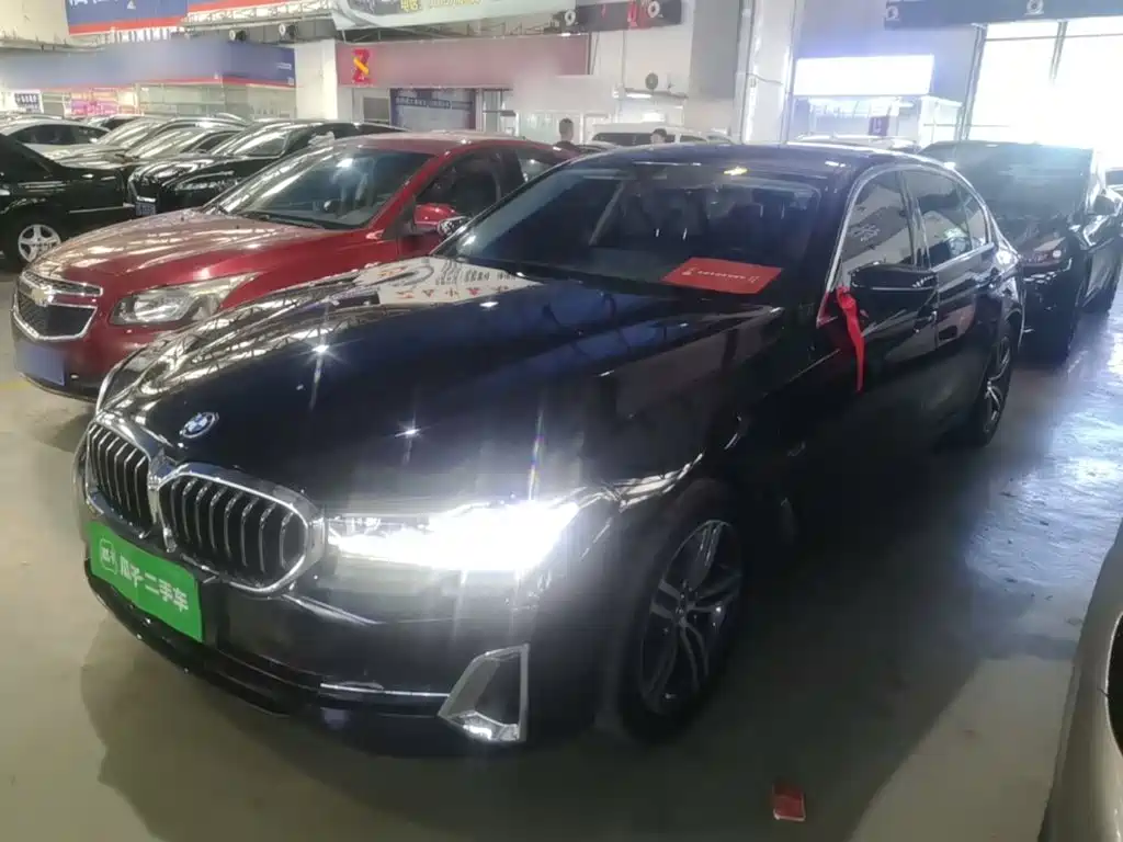 BMW 5 Series New Energy 2023